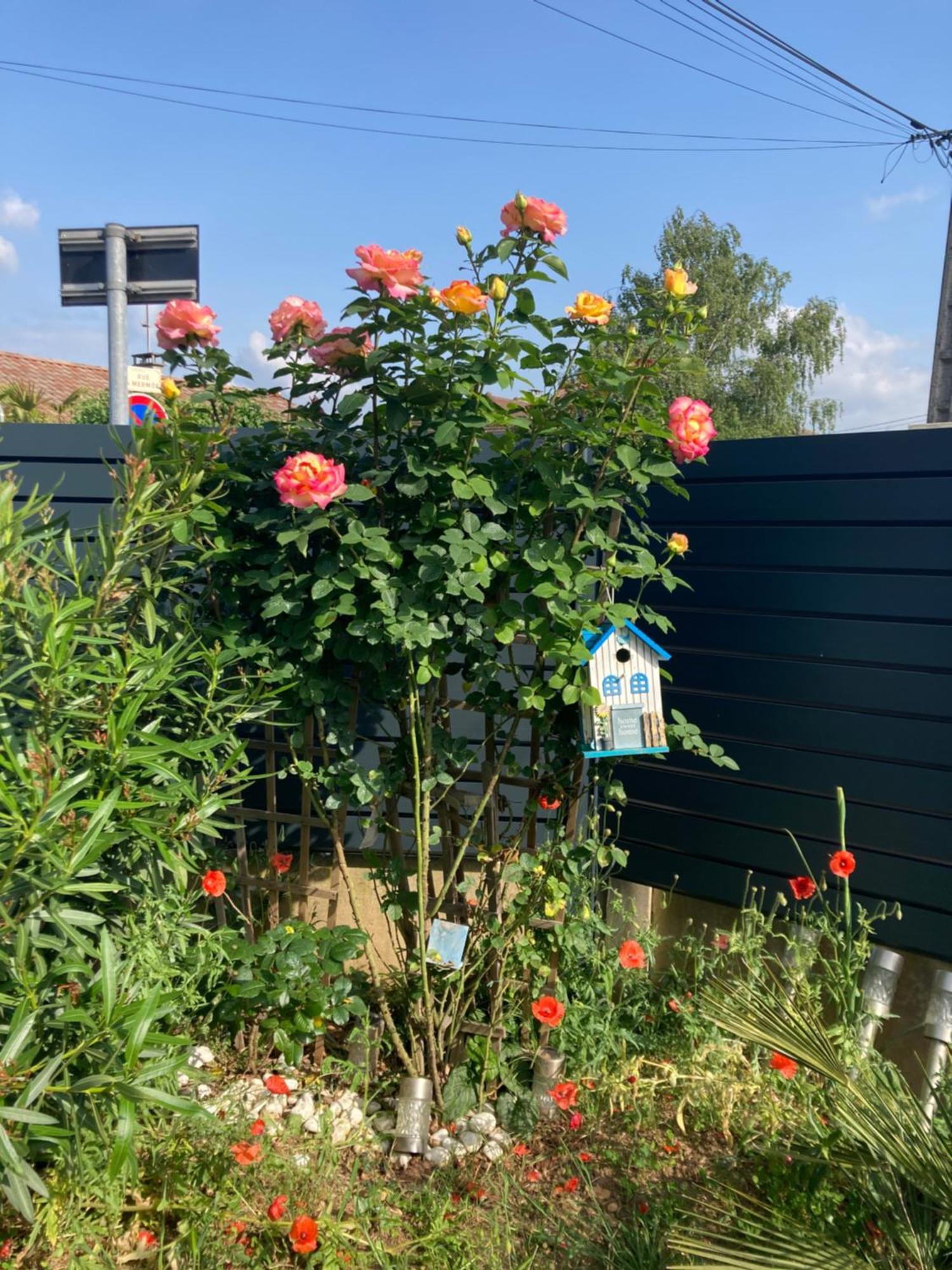 Au Calme Dans Maison En Rez De Jardin A 2,2 Kms Du Groupama Stadium Et Salle Ldlc Arena Meyzieu Eksteriør billede