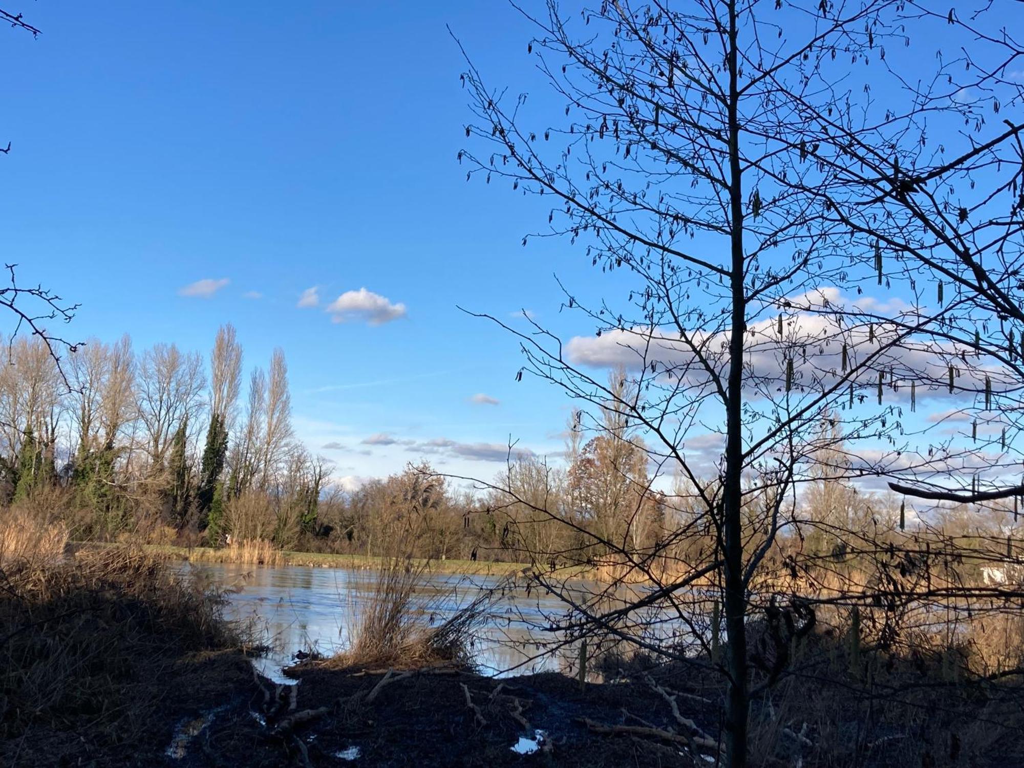 Au Calme Dans Maison En Rez De Jardin A 2,2 Kms Du Groupama Stadium Et Salle Ldlc Arena Meyzieu Eksteriør billede